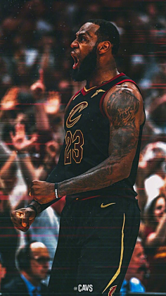 标准化结构 标准化结构